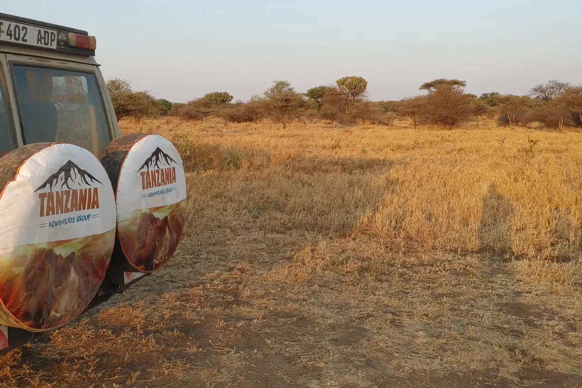 4-Day Best guides for Tanzania group safaris